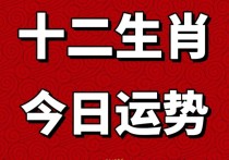 2023年3月1日 星期三  今日运势